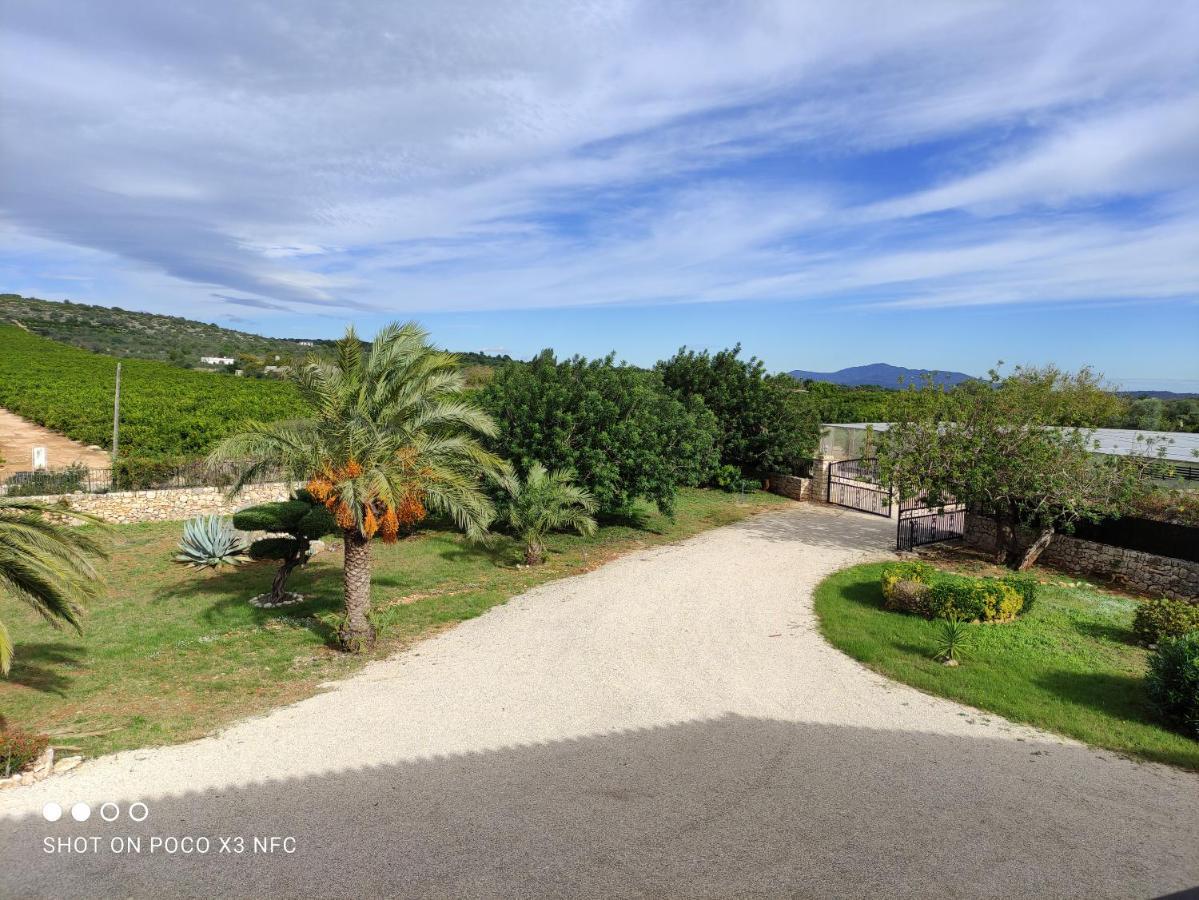Finca Tierra Roja Cálig 外观 照片